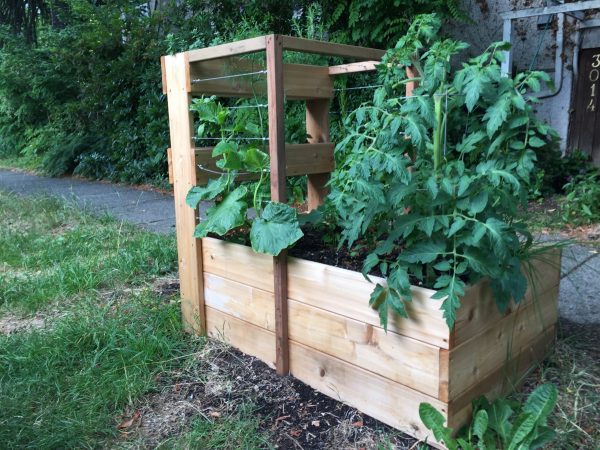 Pickling raised vegetable garden box
