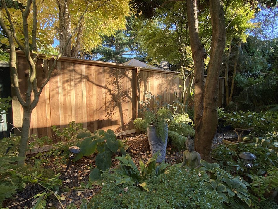 Custom cedar fence shade garden vancouver bc outdoor carpentry landscape construction