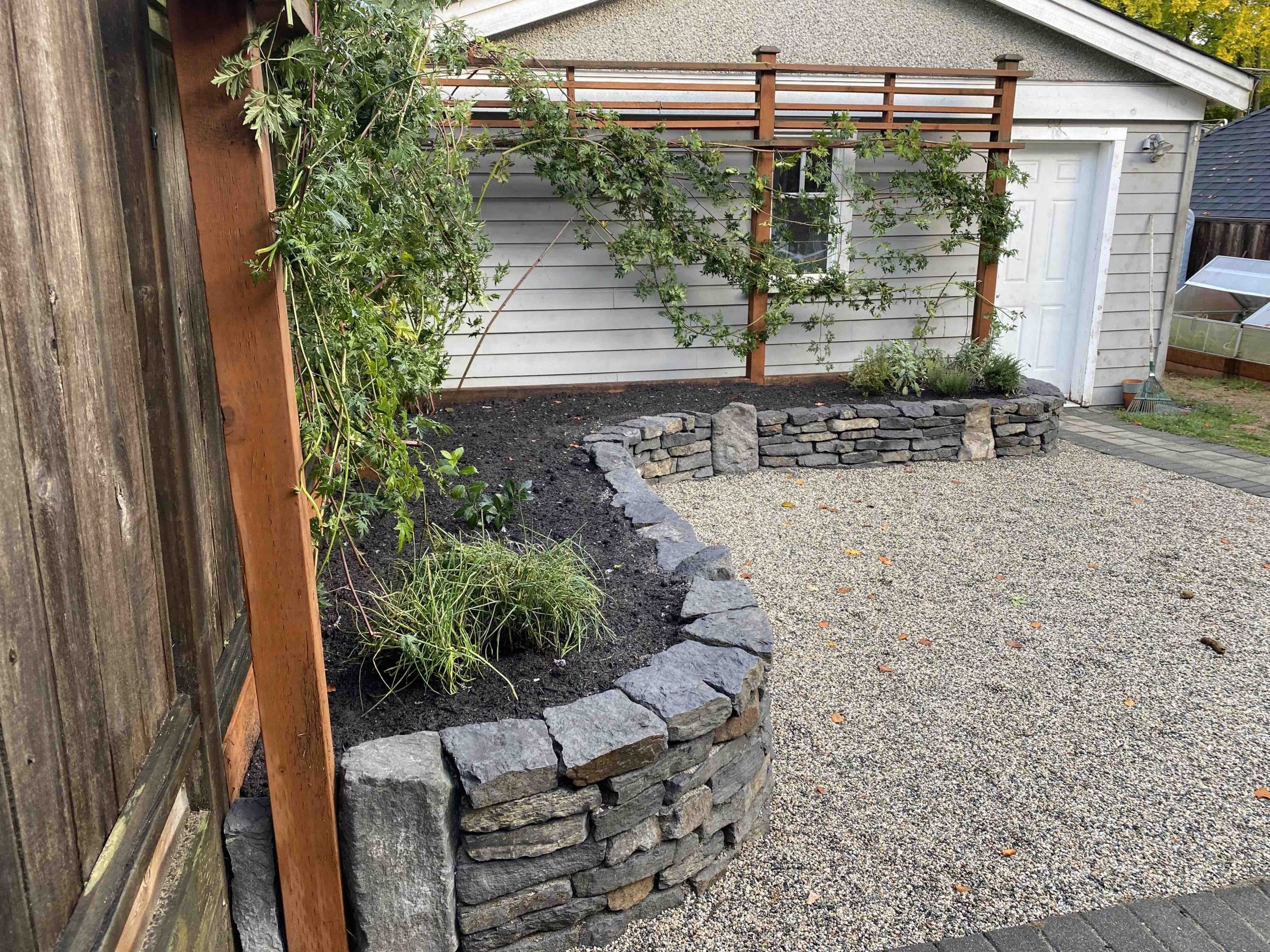 Dry stack Basalt rock wall in Vancouver backyard with French style gravel patio. Features Basalt columns integrated into the garden rock walls and a custom blackberry trellis